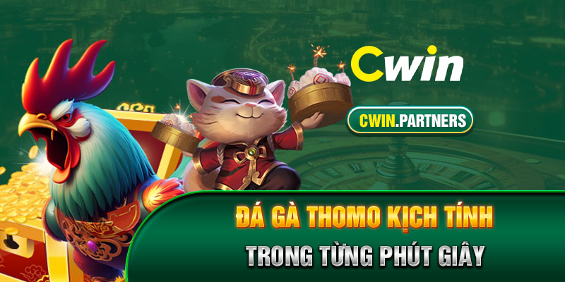 Đá gà Thomo kịch tính trong từng phút giây