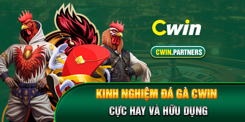 Kinh nghiệm đá gà Cwin cực hay và hữu dụng