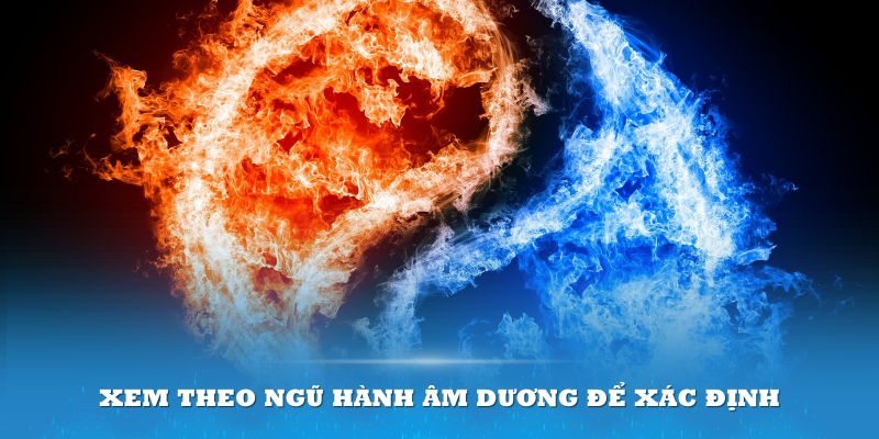 Xem theo ngũ hành âm dương để xác định được ngày gà đá ra trận